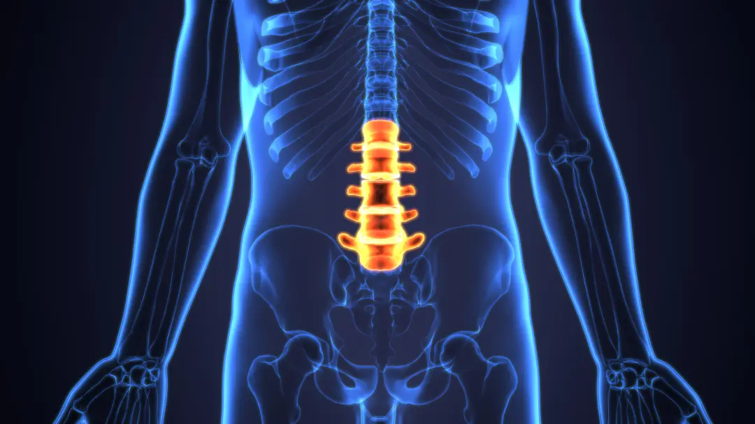 spine infection treatment